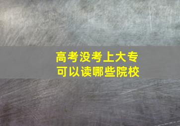 高考没考上大专 可以读哪些院校